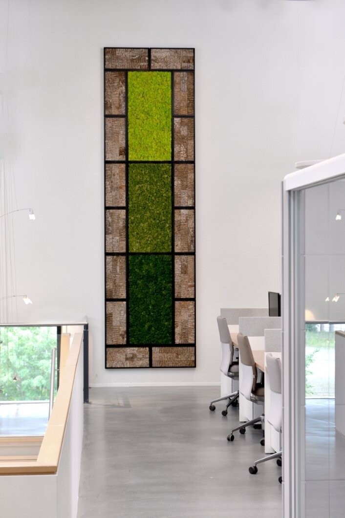 BioMontage  Large Preserved Moss in Gloss Frame