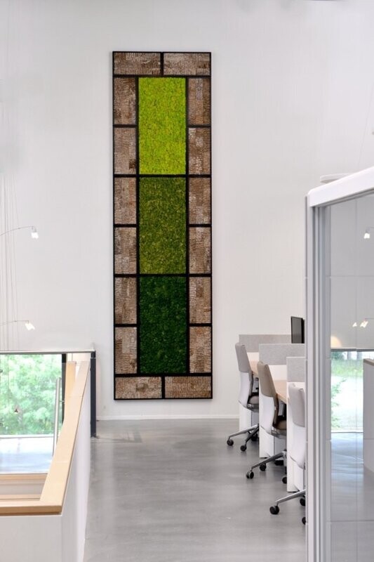 BioMontage  Large Preserved Moss in Gloss Frame