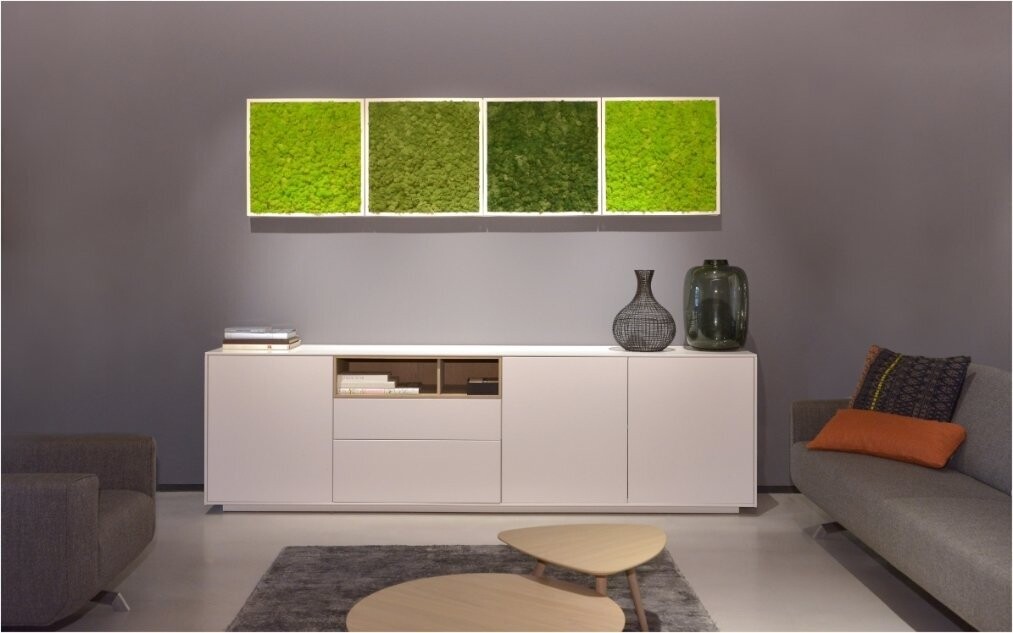 BioMontage  Preserved Moss Gloss Frame