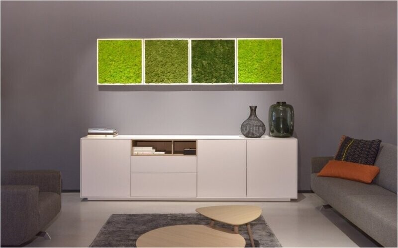 BioMontage  Preserved Moss Gloss Frame