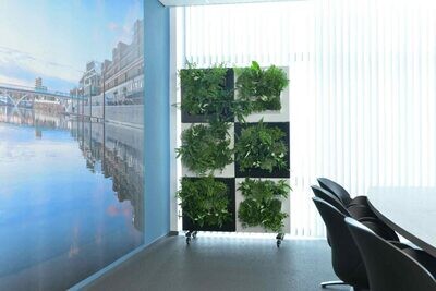 BioMontage Living Wall Room Divider (other options avail.)
