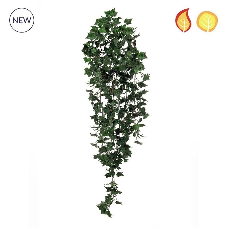 Ivy Trail English Green 85cm FR UV - Box of 6