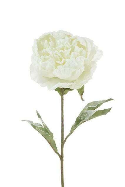 Peony Snowstorm 70cm