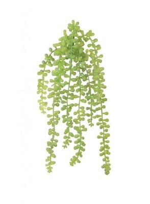 Trailing String of Pearls 30cm (Buy 6 & get 10% off)