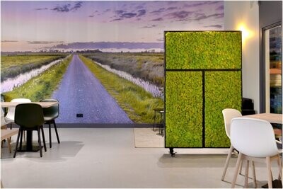 BioMontage Tall Double Moss Wall Room Divider