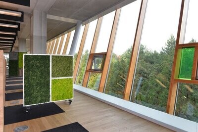 BioMontage Double Moss Wall Room Divider