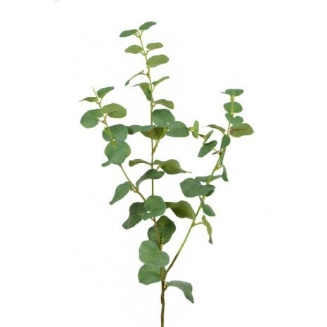 Eucalyptus Spray 76cm