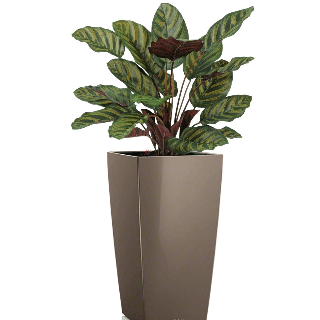 Cubico 30 Planter - PLANTER ONLY