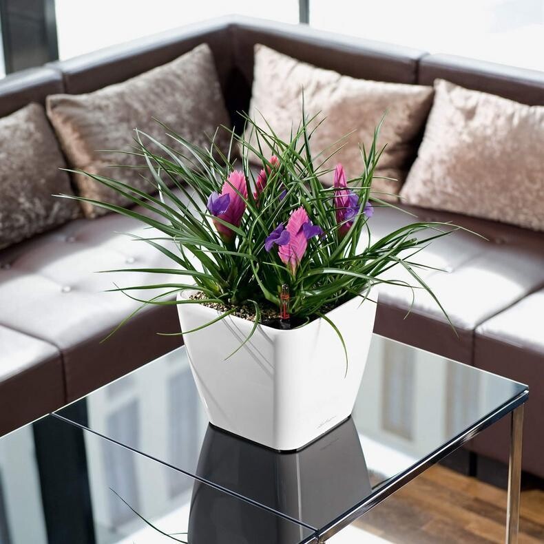 Quadro 21 Planter - PLANTER ONLY Quadro 21 Planter - PLANTER ONLY