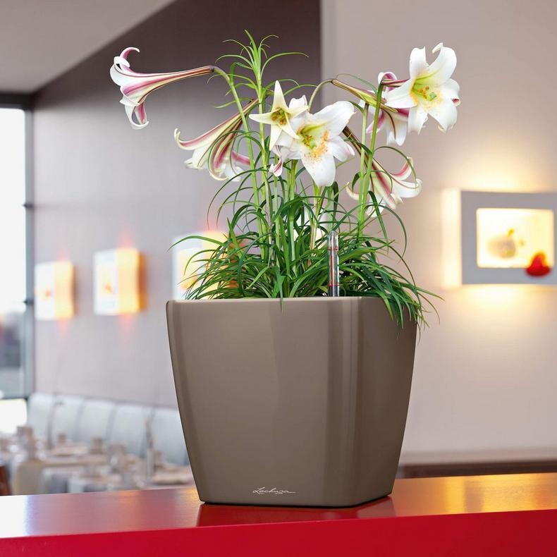 Quadro 35 Planter - PLANTER ONLY