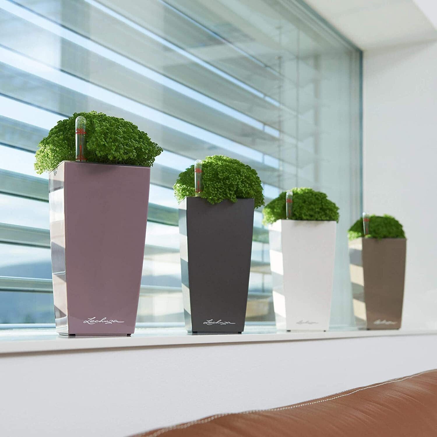 Lechuza Mini Cubi planter