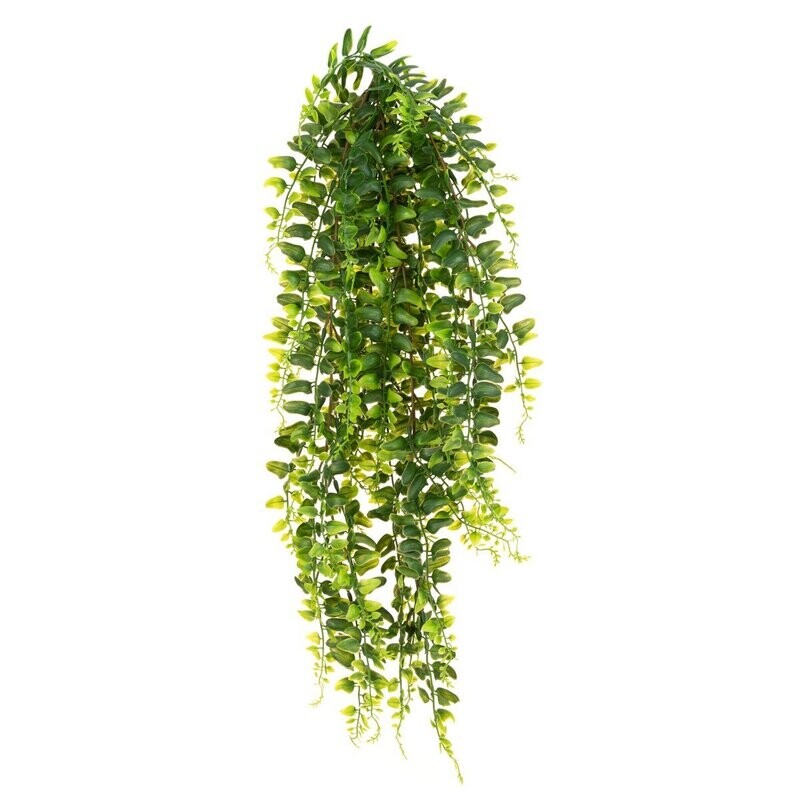 UV Boston Fern Bush Trail 71cm