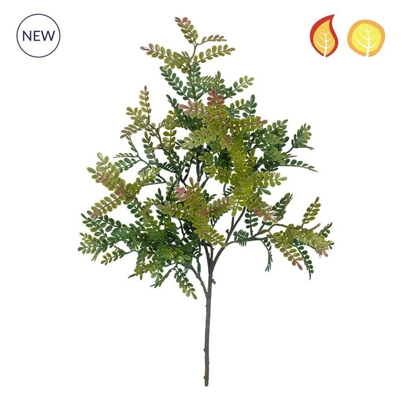 Rain Locust Green/Red Foliage 55cm FR UV-S1