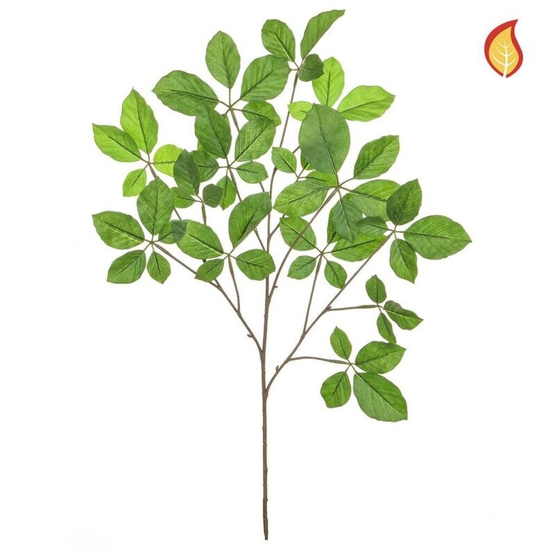Hornbeam Green Foliage 70cm Fire - Box of 6