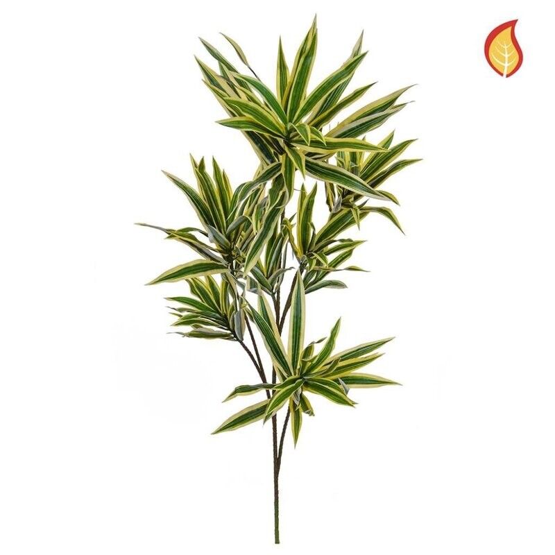 Dracaena Reflexa Foliage 85cm FR-S1