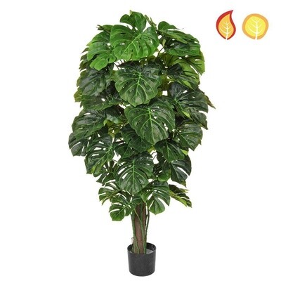 150cm Fire Retardant & UV Protected Monstera Plant (Delivery 5-7 days )