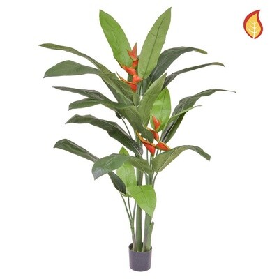Fire Retardant 170CM Heliconia (Delivery 5-7 days )
