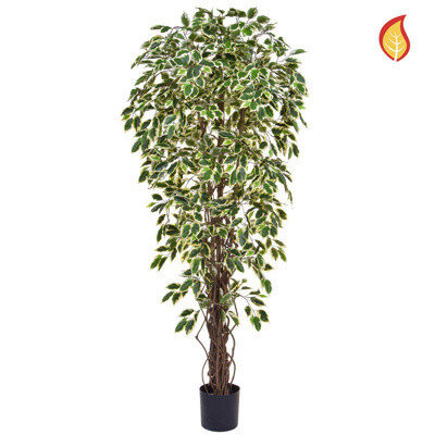 120CM Fire Retardant Artificial Ficus Liana Variegated  (Delivery 5-7 days )