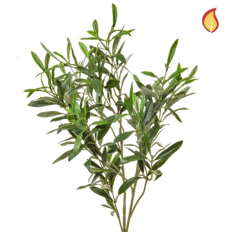 Olive Spray Foliage 90cm FR Box of 6