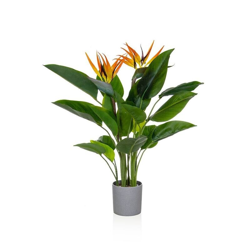 Bird of Paradise in a Grey Pot 80cm