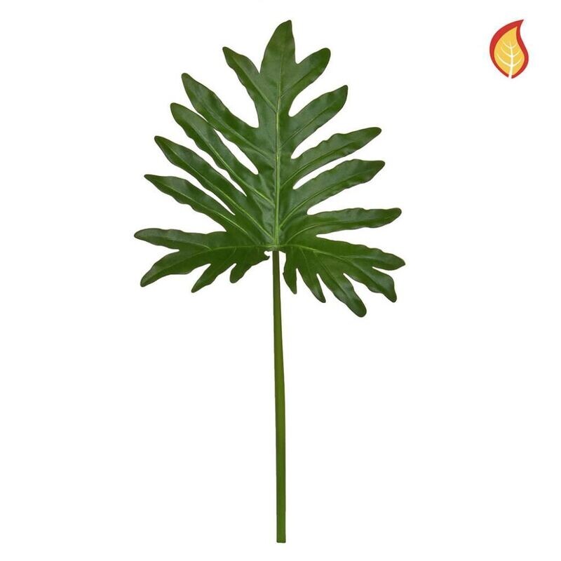 FS Leaf Selloum 57cm FR-S1