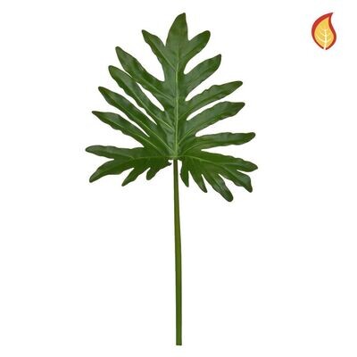FS Leaf Selloum 57cm FR-S1