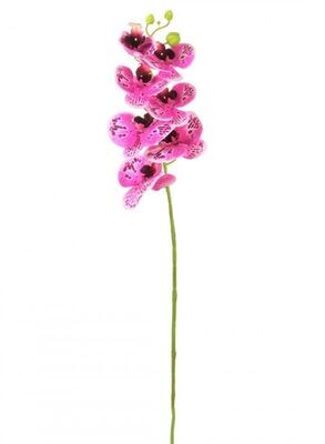 Single 7 head Phalaenopsis Orchid Stem 78cm Bold Pink Speckle