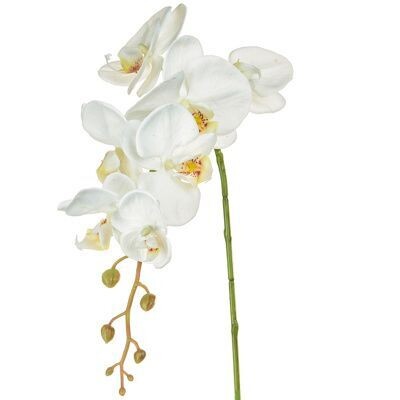 Orchid Phalaenopsis XJ Med White 86cm