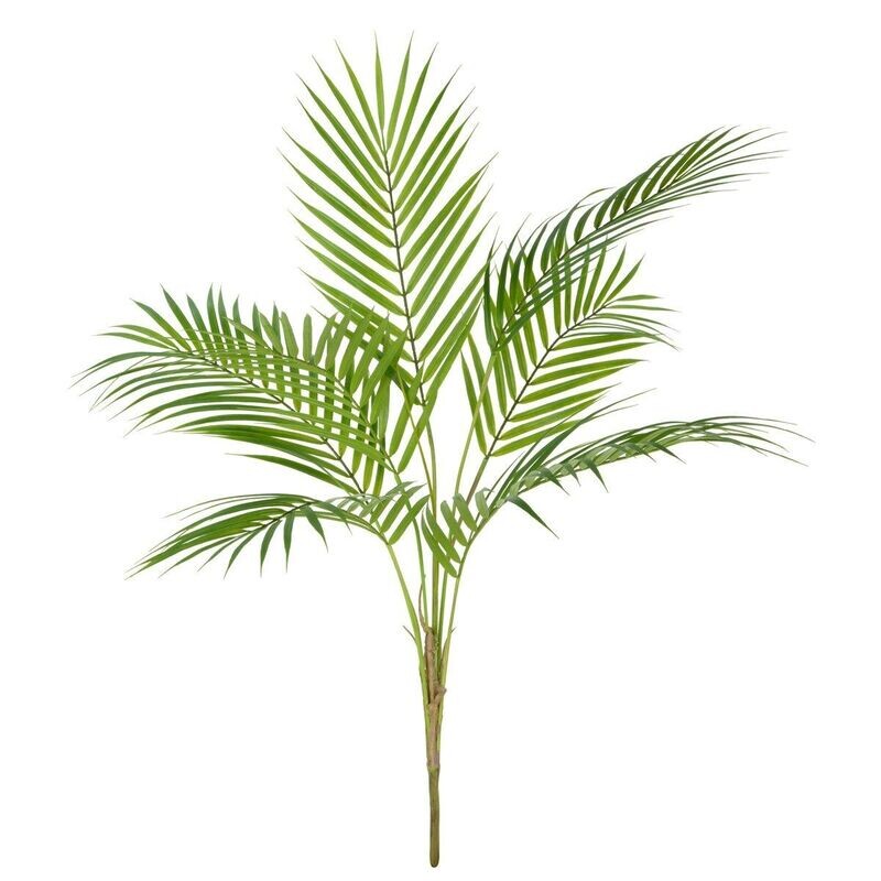 Areca Palm Bush 83cm