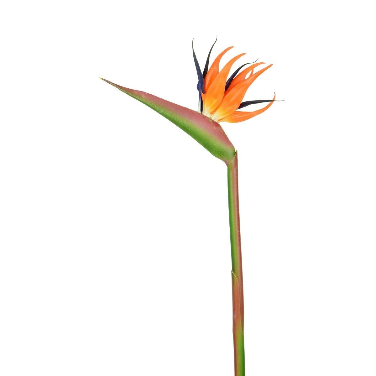Bird of Paradise Stem 101cm