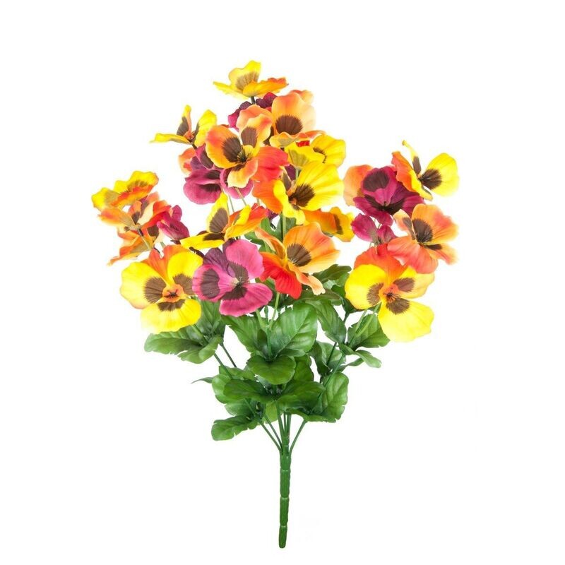 Pansy Bush Orange, Yellow & Fuchsia