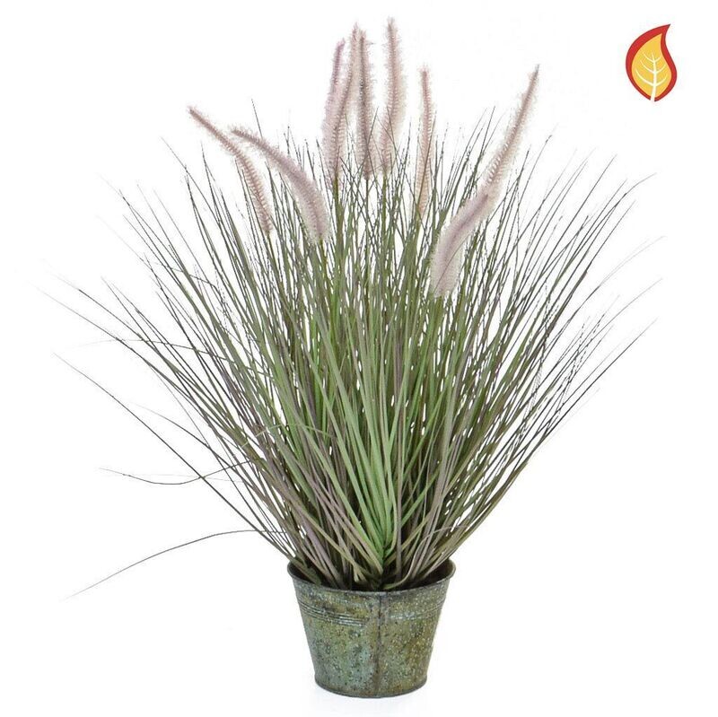 Dogtail Grass in Metal Pot 97cm FR