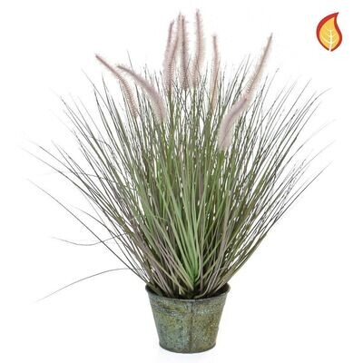 Dogtail Grass in Metal Pot 97cm FR