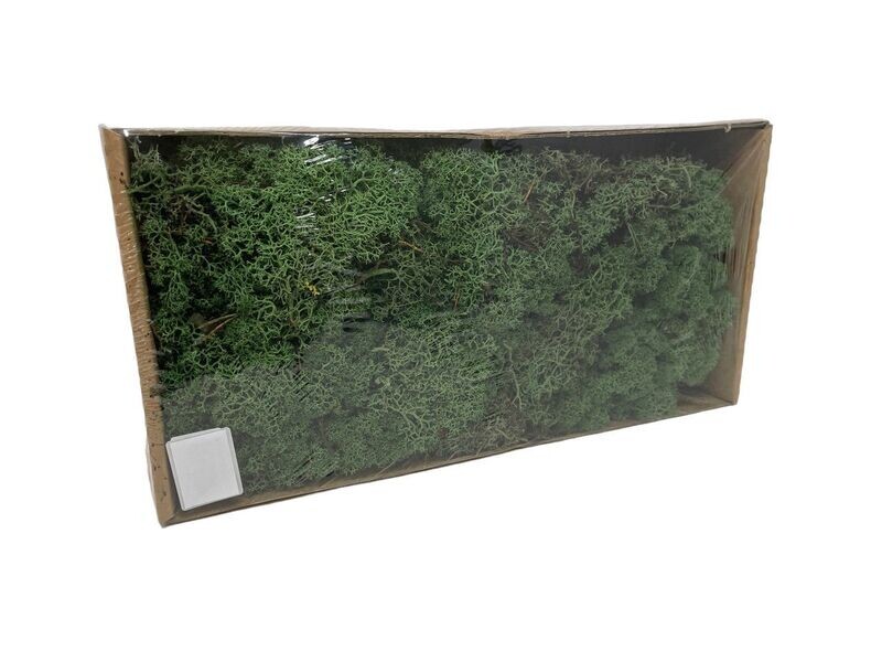 Reindeer Moss DRY 500g Green