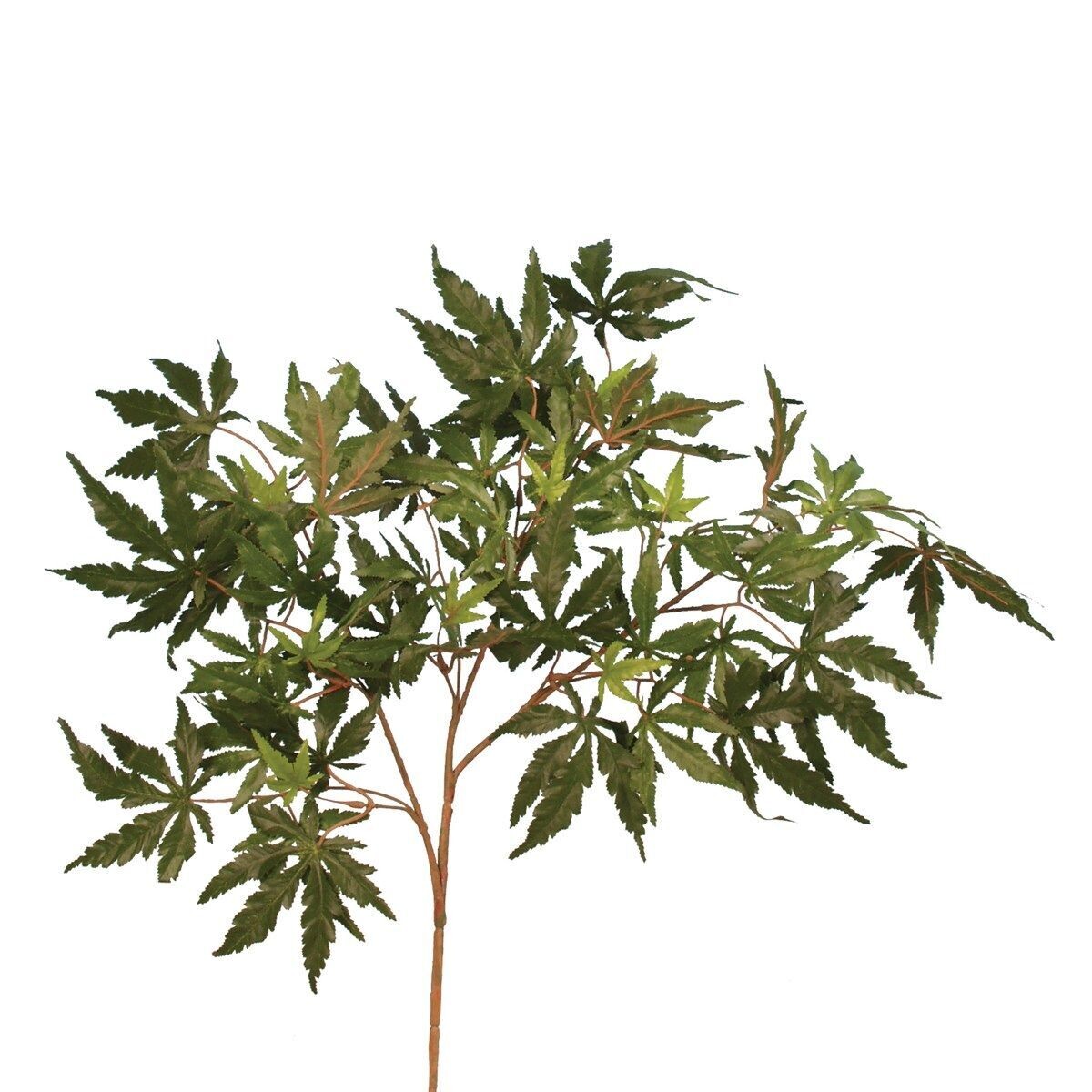 Maple Japanese Spray Green 80cm