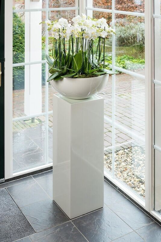 Roto Bowl White Planter