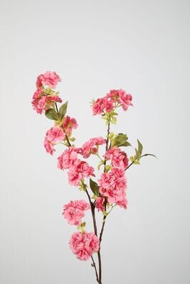 Cherry Blossom 110cm Medium Pink