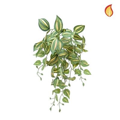 Artificial Tradescantia Bush Green 55cm FR (pre-order)
