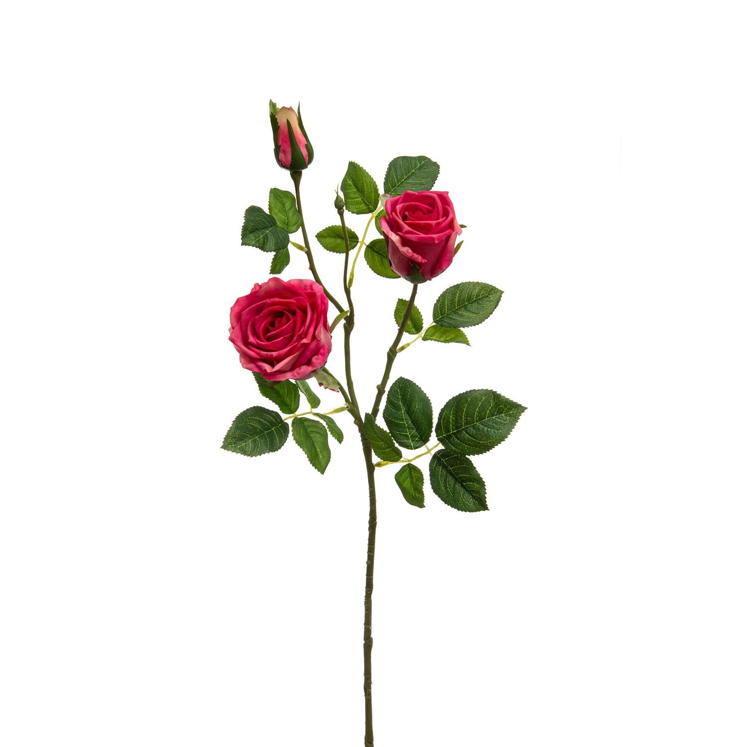 SF Rose Victoria Pink 80cm
