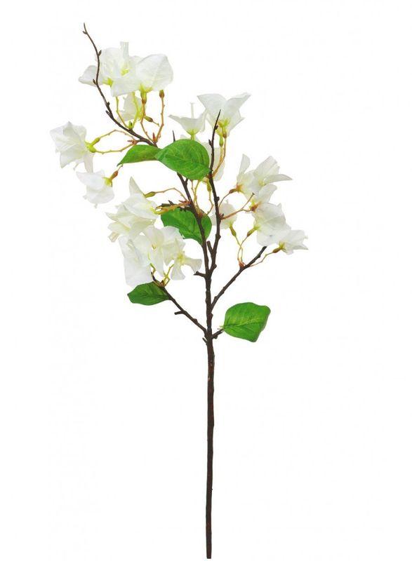 Bougainvillea Stem Ivory 65cm