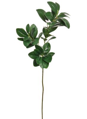 Peperomia Leaf Spray Green 82cm