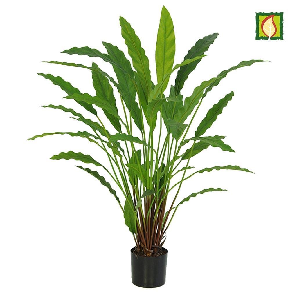 Artificial Potted Calathea