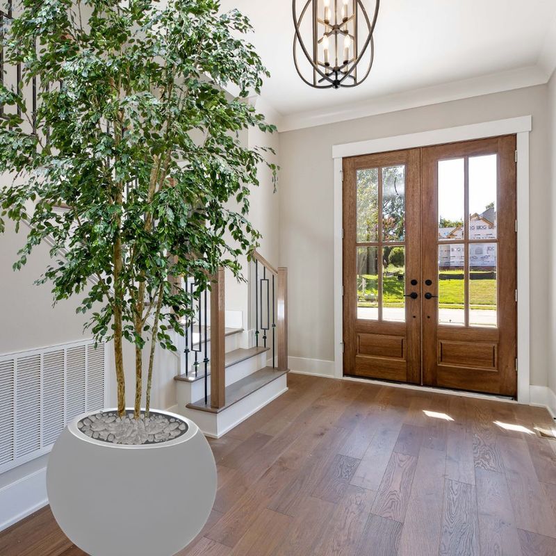 Large Artificial Ficus Exotica Tree 400cm (pot not included)