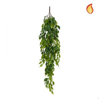 Mini Leaf Ficus Trail 93cm FR-S3 (Box of 6)