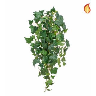 Ivy Bush 106cm FR-S15