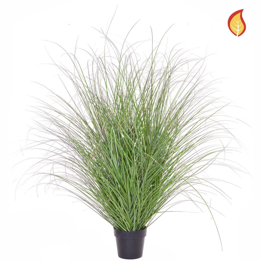 Long Grass Green/Red Tip in Pot 140cm
