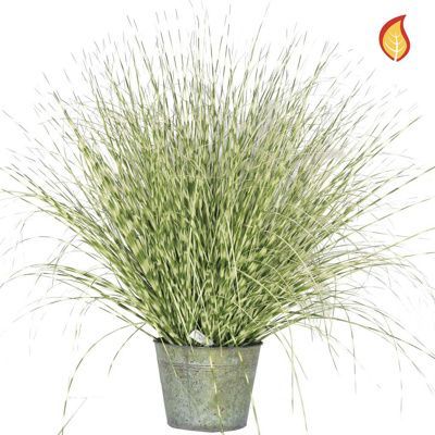 Zebra Grass with Metal Pot FR (Lead time 5-7 days)