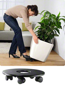 Classico  & Quadro 50 castors