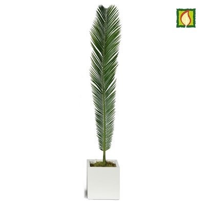 Box of 6 Foliage Palm Cycas Leaves 106cm FR