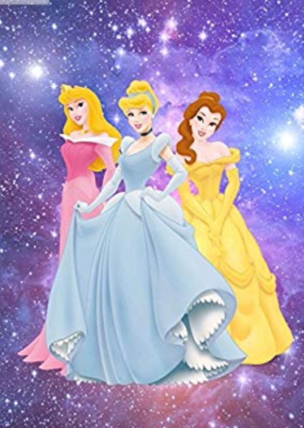 Disney princess  Vinyl backdrop. Stand Not Included